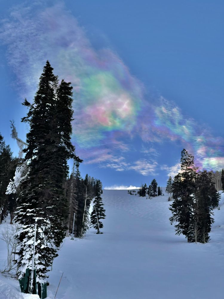 06-15-38-16540870841853717334