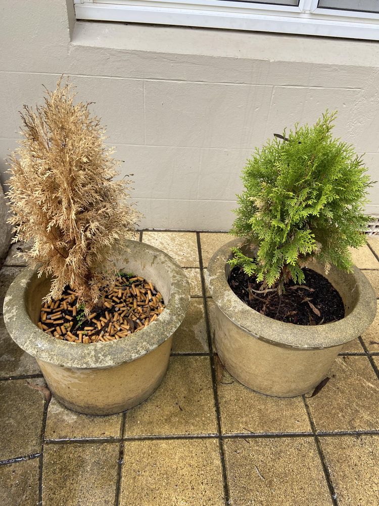 06-15-38-16540870941017351627