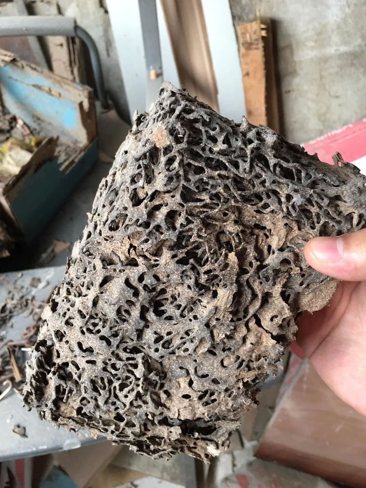 06-15-38-1654087119466801386