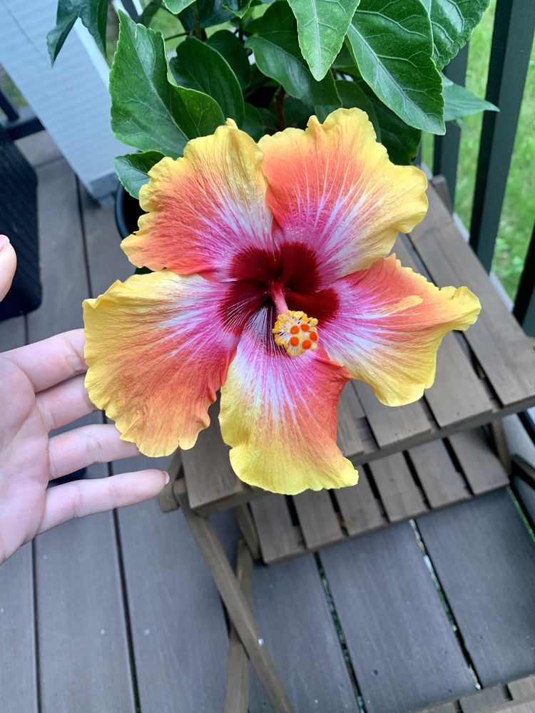 06-16-01-16565941142069828553