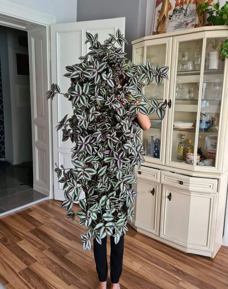 06-16-02-1656594126205399487