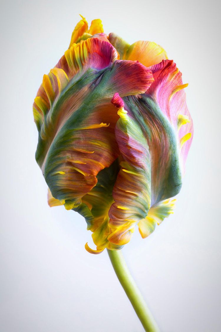 06-16-02-16565941421220309279