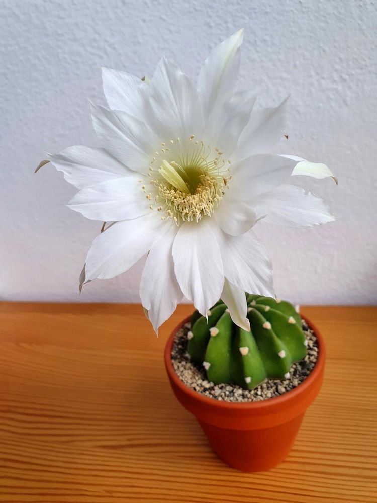 06-16-02-16565941461698017450