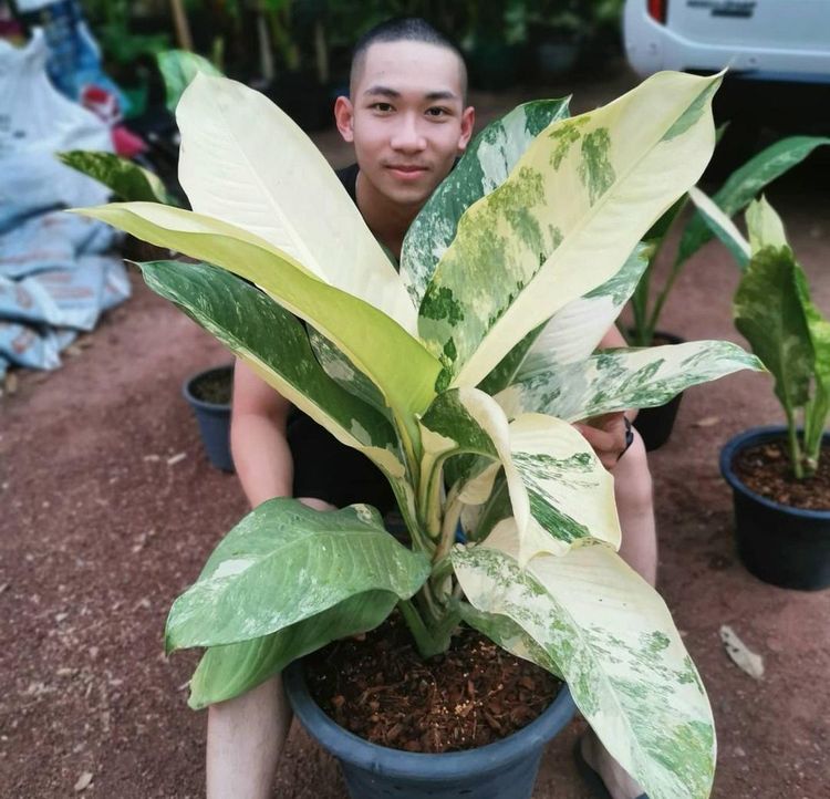 06-16-02-1656594148961323034