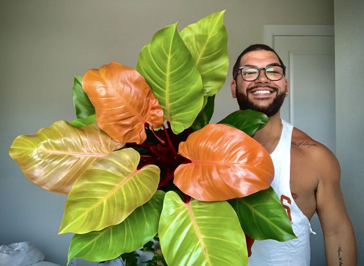 06-16-02-16565941611140616729