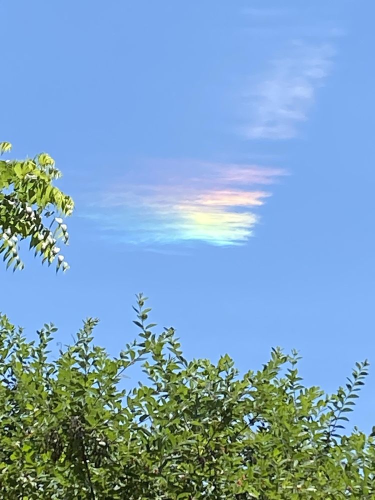 06-16-28-16563364901185119819