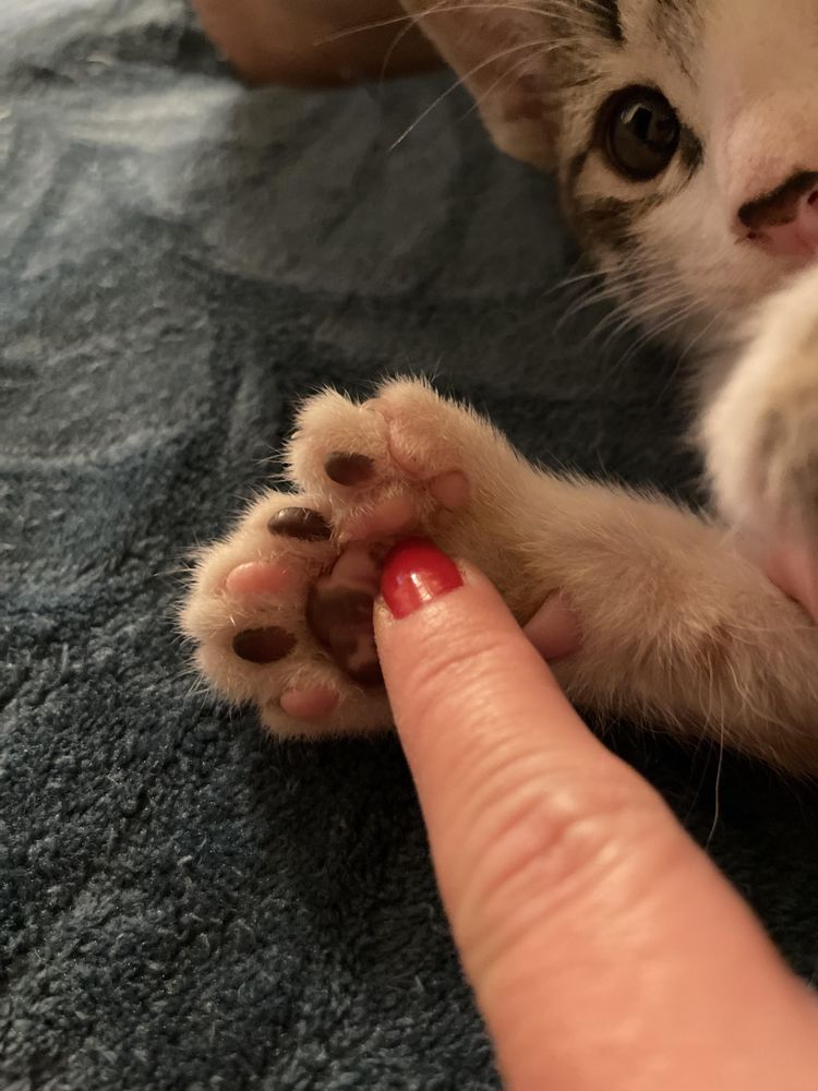 06-16-28-16563365001825036744