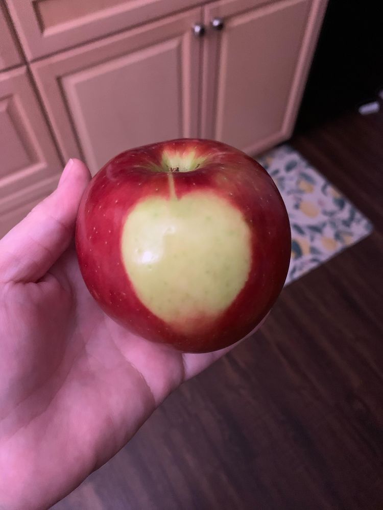 06-16-28-1656336511235015680