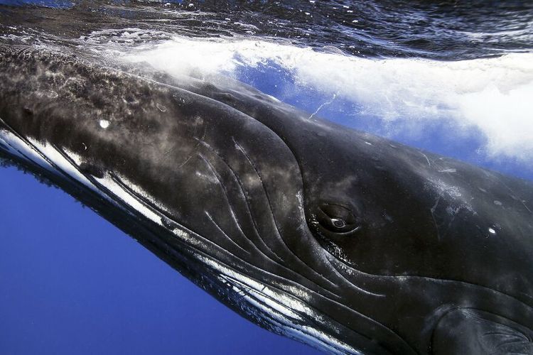 06-16-36-16565098071611795842