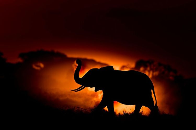 06-16-36-16565098071656963796