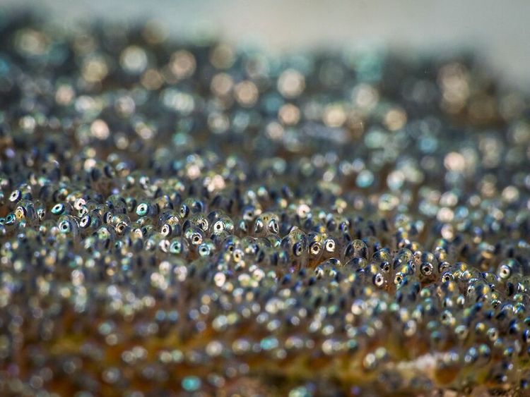 06-16-36-1656509808638060279