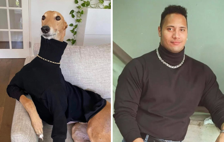 06-16-40-1656078053985666301