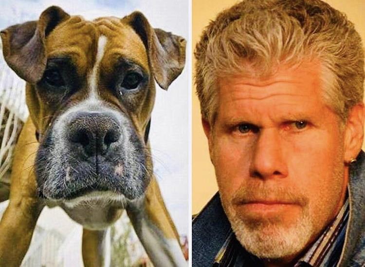 06-16-40-16560780581431183420