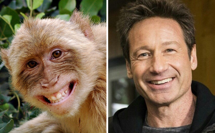 06-16-42-1656078128961304194