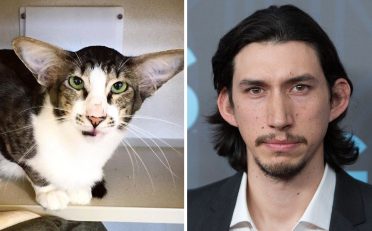 06-16-42-16560781311515783010