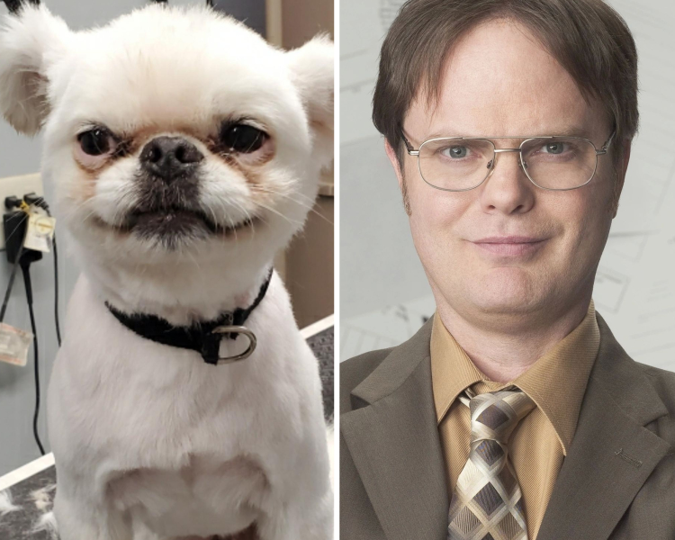 06-16-42-16560781341254847361