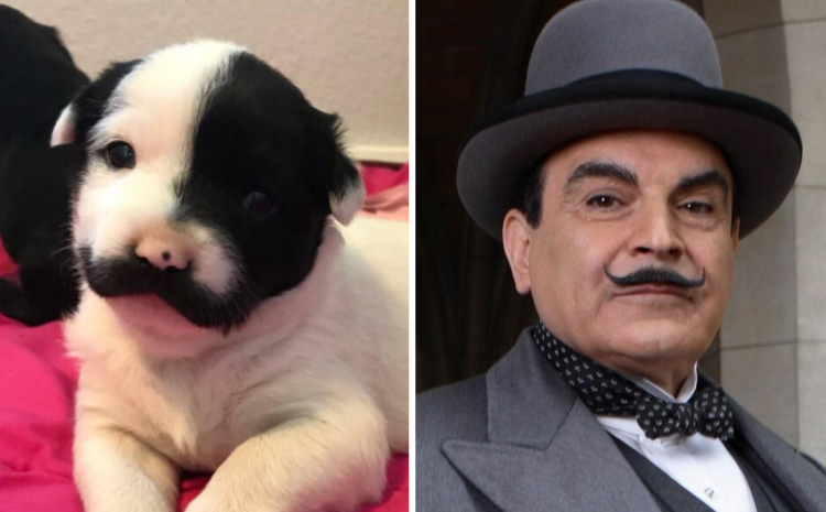 06-16-42-16560781401949813770