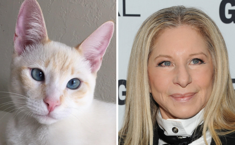 06-16-42-1656078143466469304