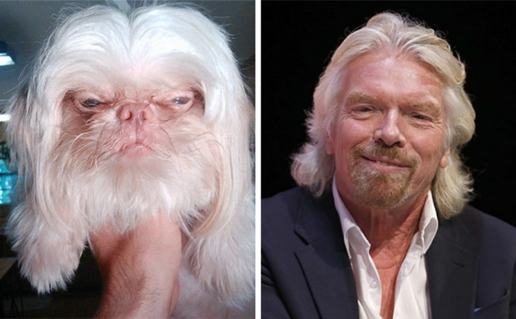 06-16-42-16560781471209361766