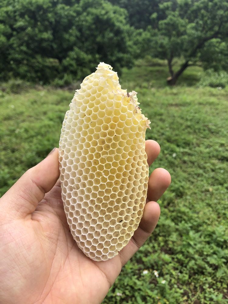 06-16-46-16559919902036551360