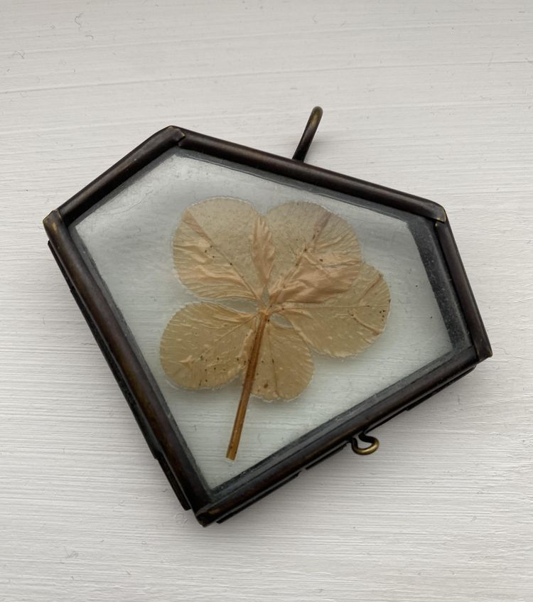 06-16-47-1655992032352233259