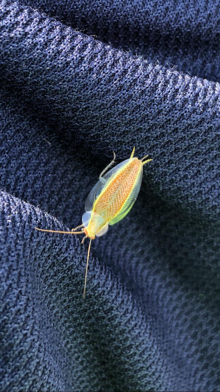 06-16-47-16559920491560006214