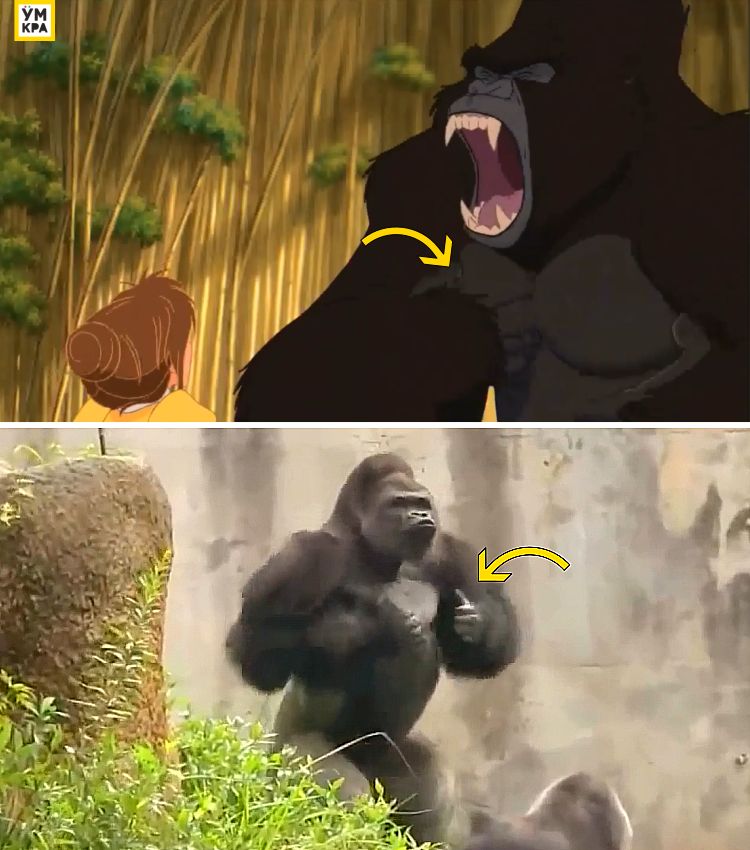 06-16-50-1655214646787477630