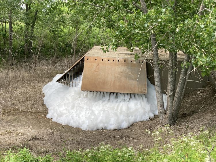 06-17-37-16565998731433719763