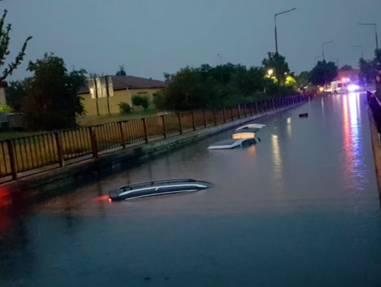 06-17-38-16565999011048900160