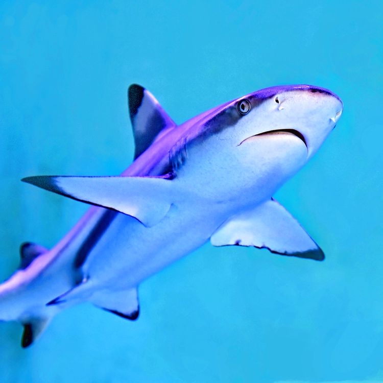 06-17-58-16553915101239105010