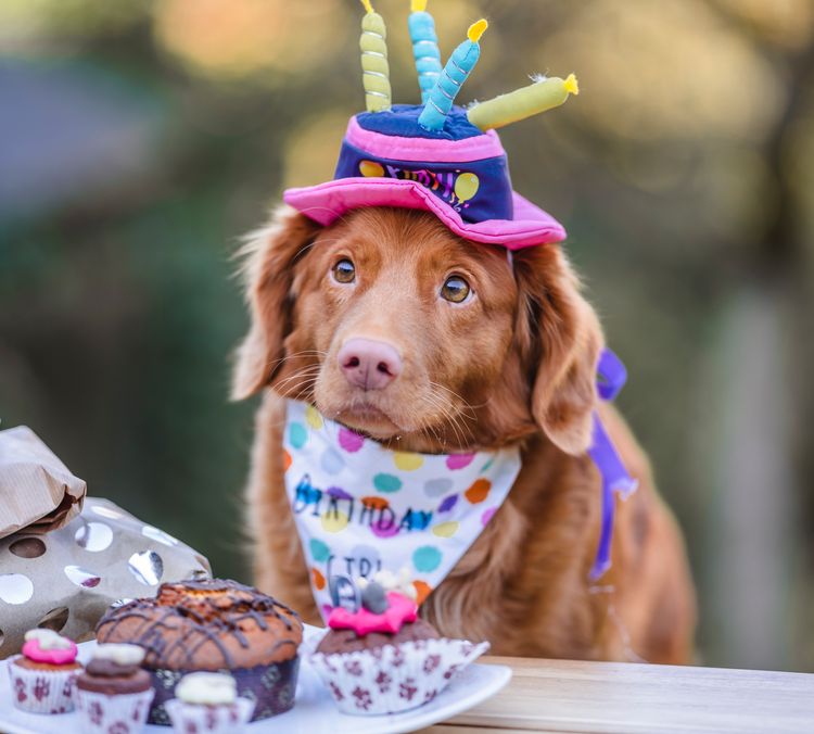 06-17-58-1655391523982395163