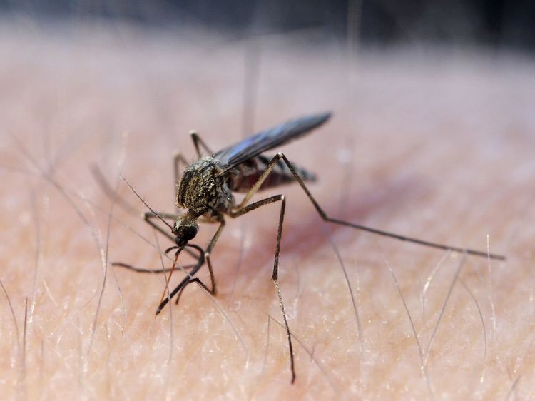 06-17-58-16553915362144635342