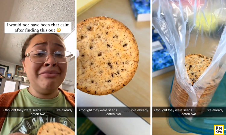 06-18-06-16559967761221677282