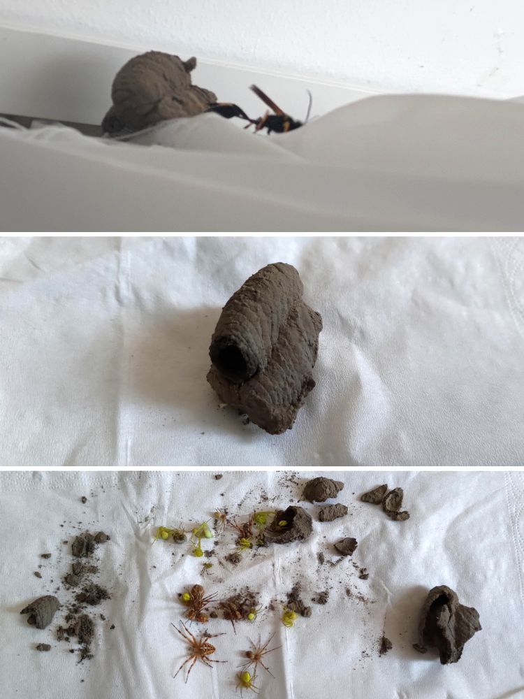 06-18-07-1655996856854046742