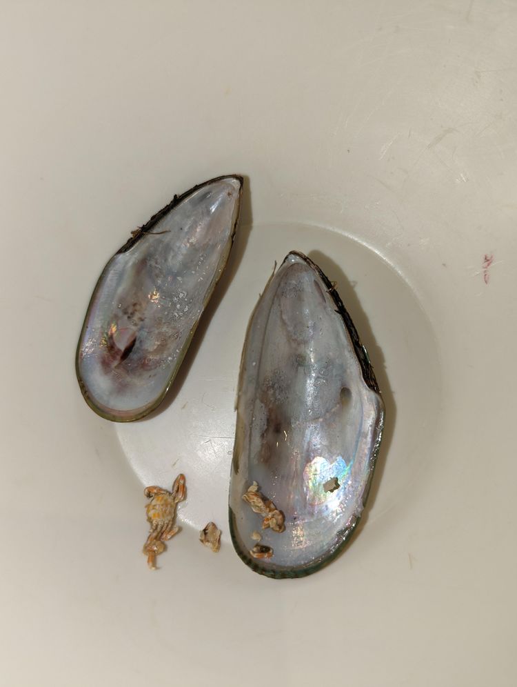 06-18-07-16559968741134365928