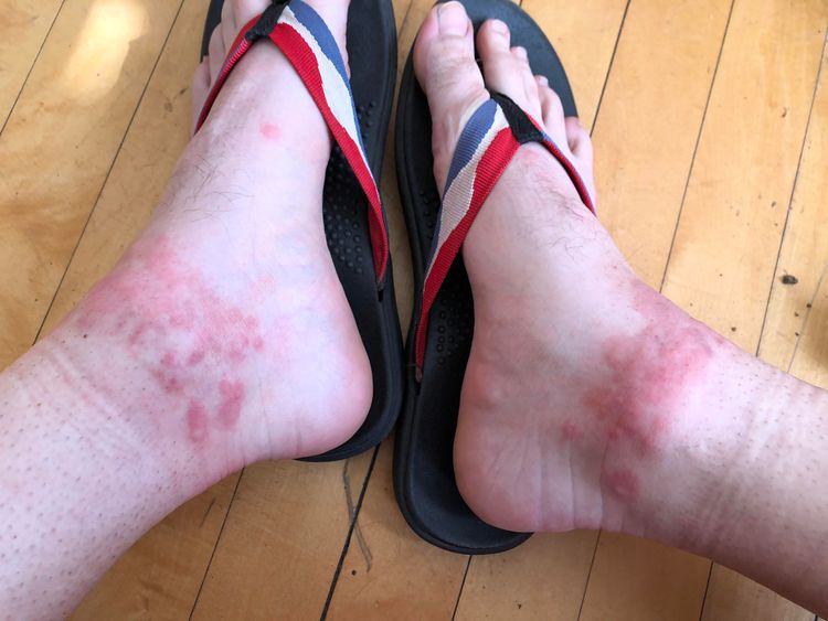 06-18-08-1655996883720153523