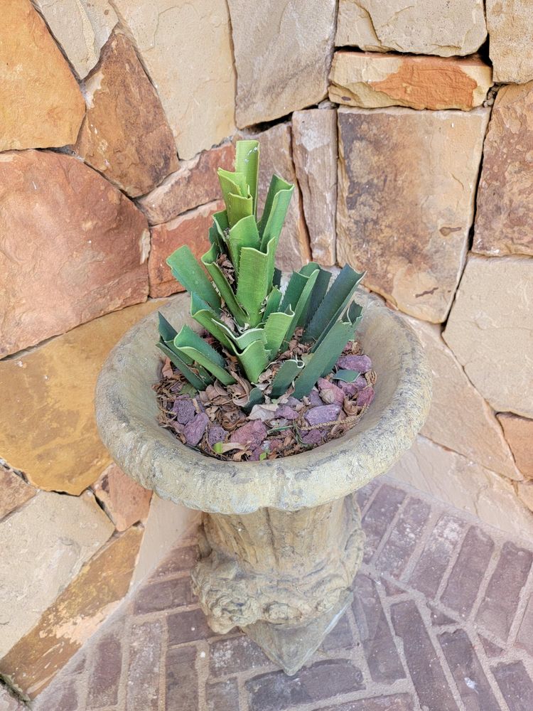 06-18-08-16559968891582745067