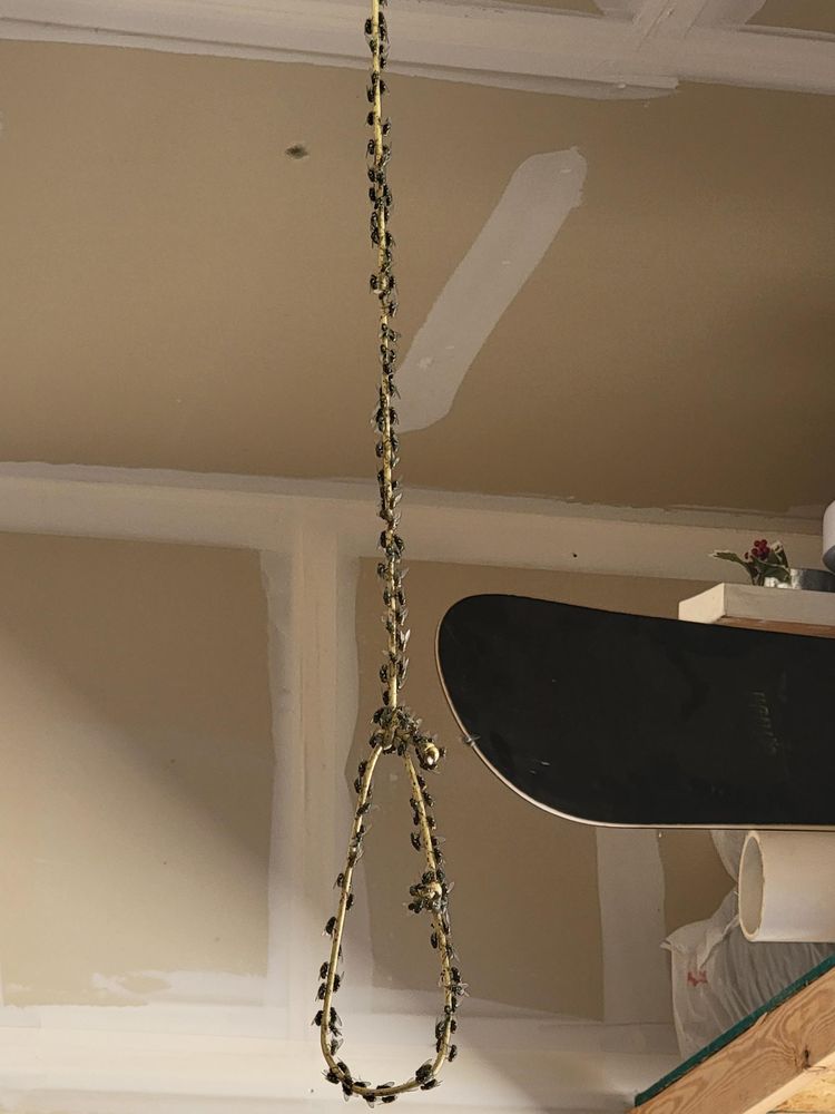 06-18-09-1655996955904307004