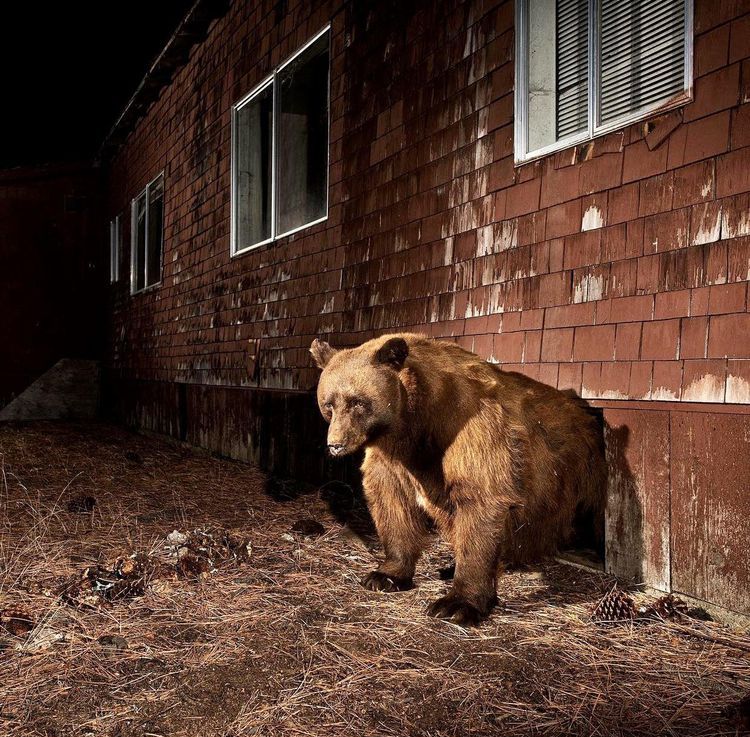 06-19-38-1656434293858685010