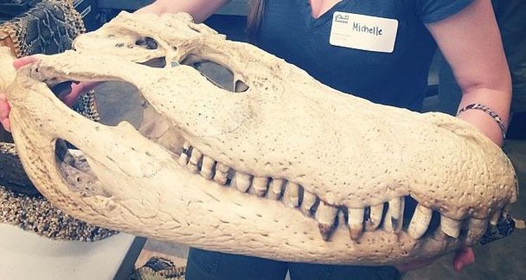 06-19-38-16564343001876034671