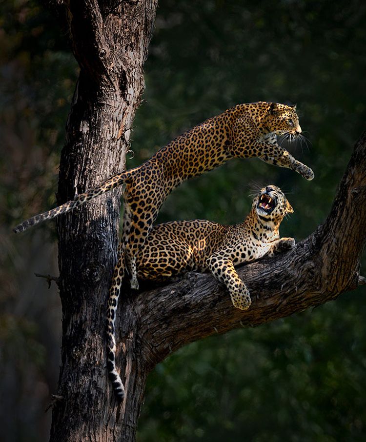 06-19-38-1656434315632075776