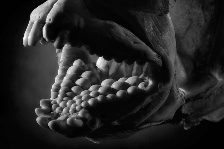 06-19-38-16564343201904349844