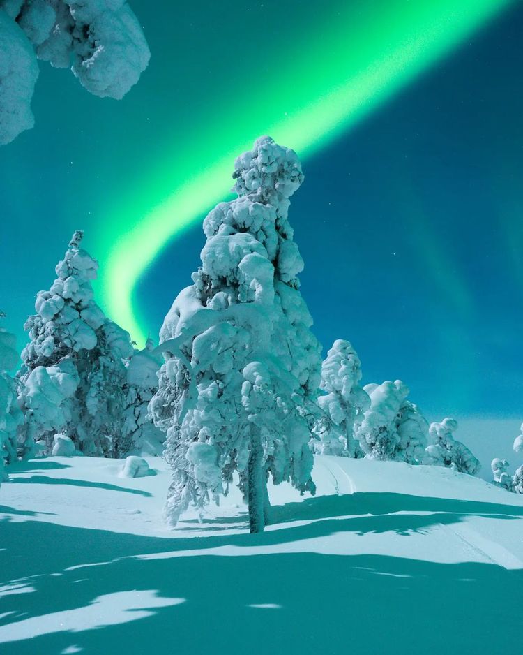 06-19-38-165643432380246963