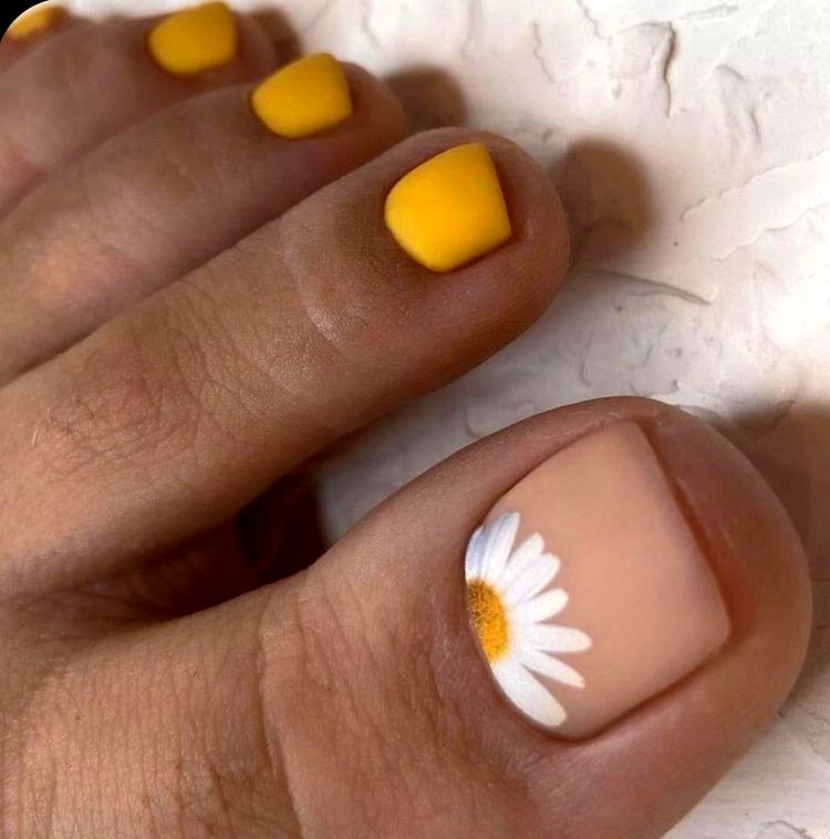 06-23-22-1654546938672726755