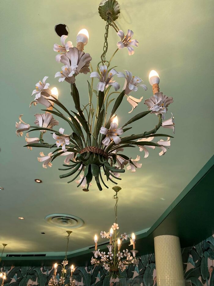 07-10-28-1658388512346322436