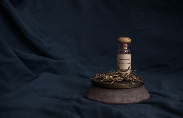 07-10-54-1658303641122503989