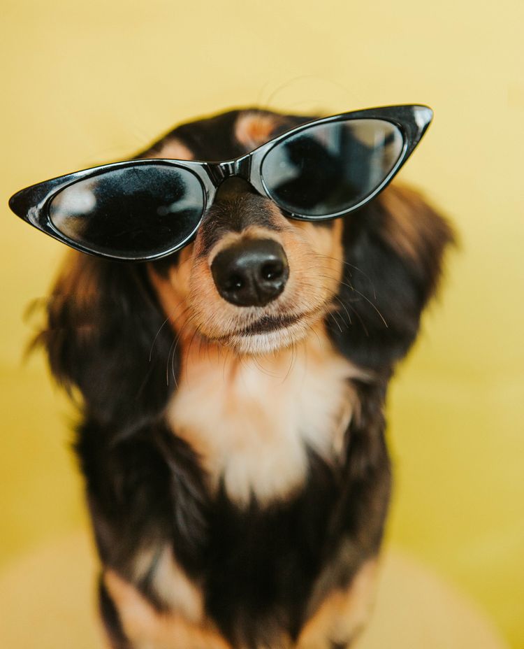 07-10-54-1658303662592392197