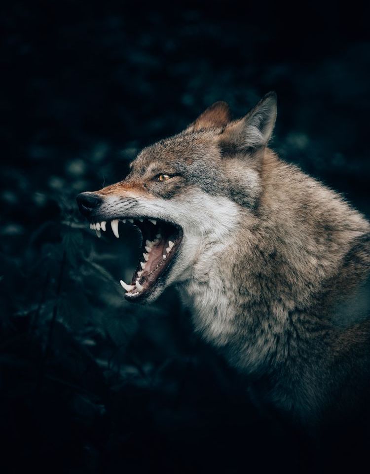 07-10-54-16583036861567794200