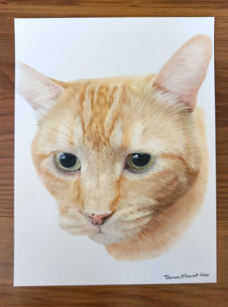 07-11-31-16588243111329096085