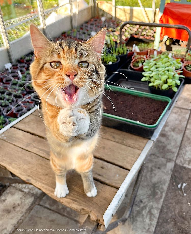 07-11-32-1658737955861509199